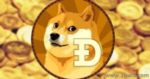 DOGE COİN