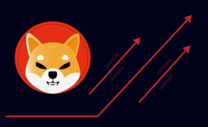 SHIBA COİN