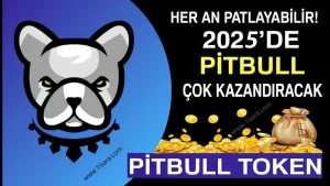 PITBULL (PIT) COİN