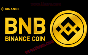 Binance  Coin (BNB)