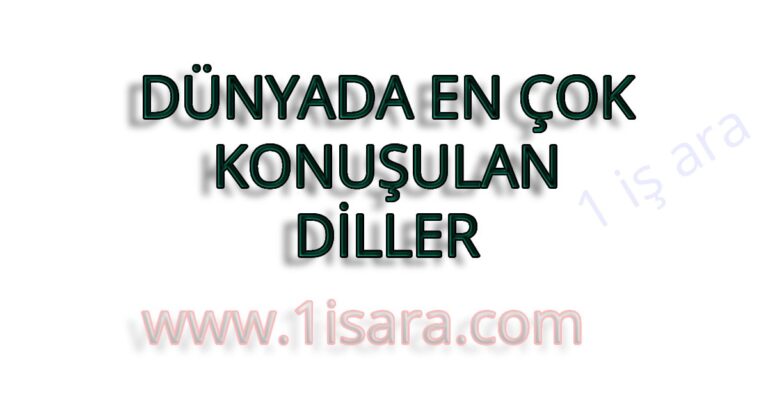 DÜNYADA EN ÇOK KONUŞULAN DİLLER