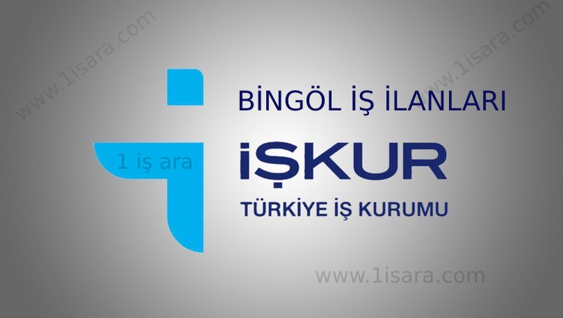 BİNGÖL İŞ İLANLARI