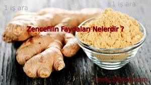 Zencefilin Faydaları Nelerdir ?