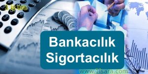 Bankacılık Ve Sigortacılık Meslek Elemanı İş İlanı