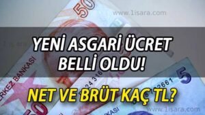 Asgari ücret ne kadar oldu, yüzde kaç zamlandı? 2023 yeni asgari ücret ara zammı açıklandı