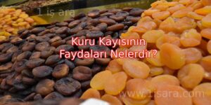 Kuru Kayısının Faydaları Nelerdir?